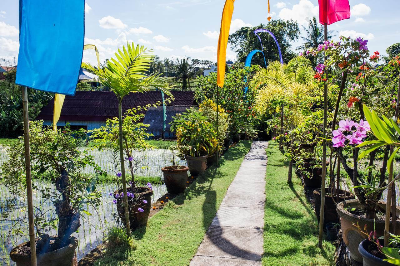 Matra Bali pensión Canggu Exterior foto